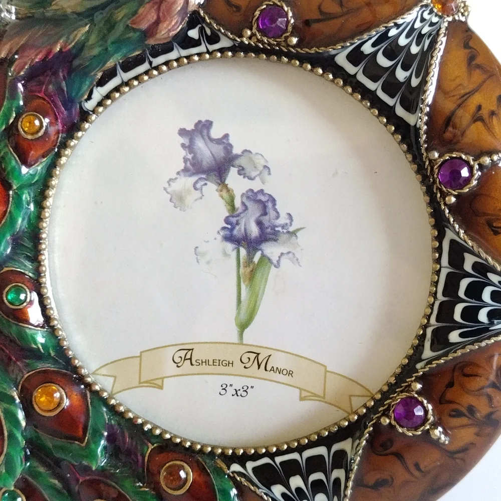 Ashleigh Manor Enameled Embellished Peacock Frame 3x3